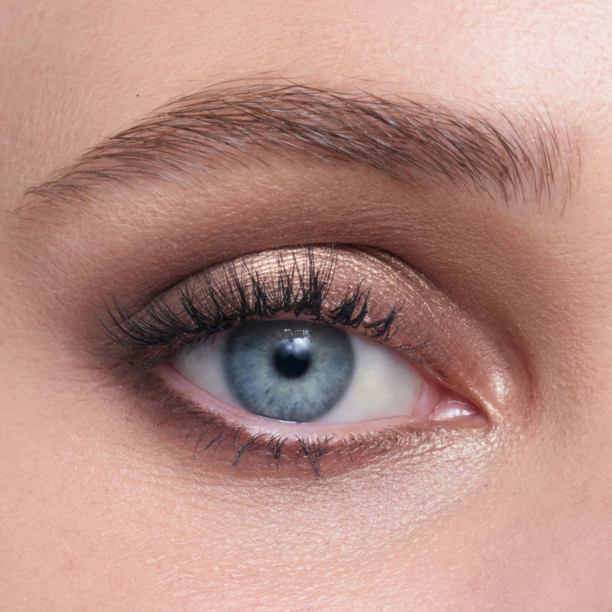 COLOUR RITUAL EYESHADOW QUAD