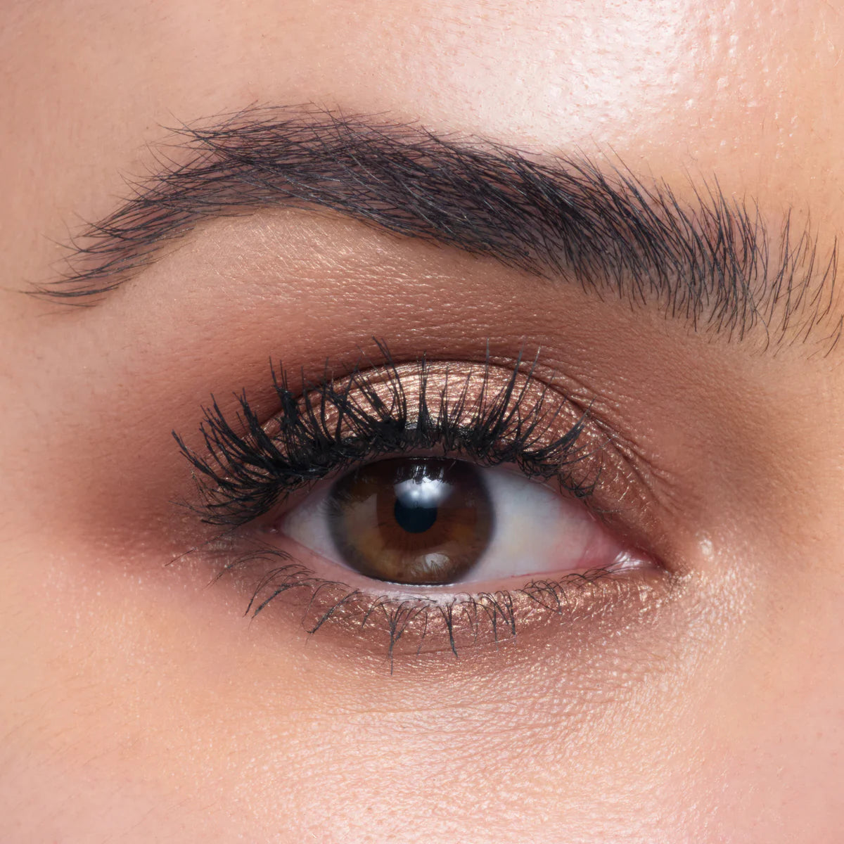COLOUR RITUAL EYESHADOW QUAD