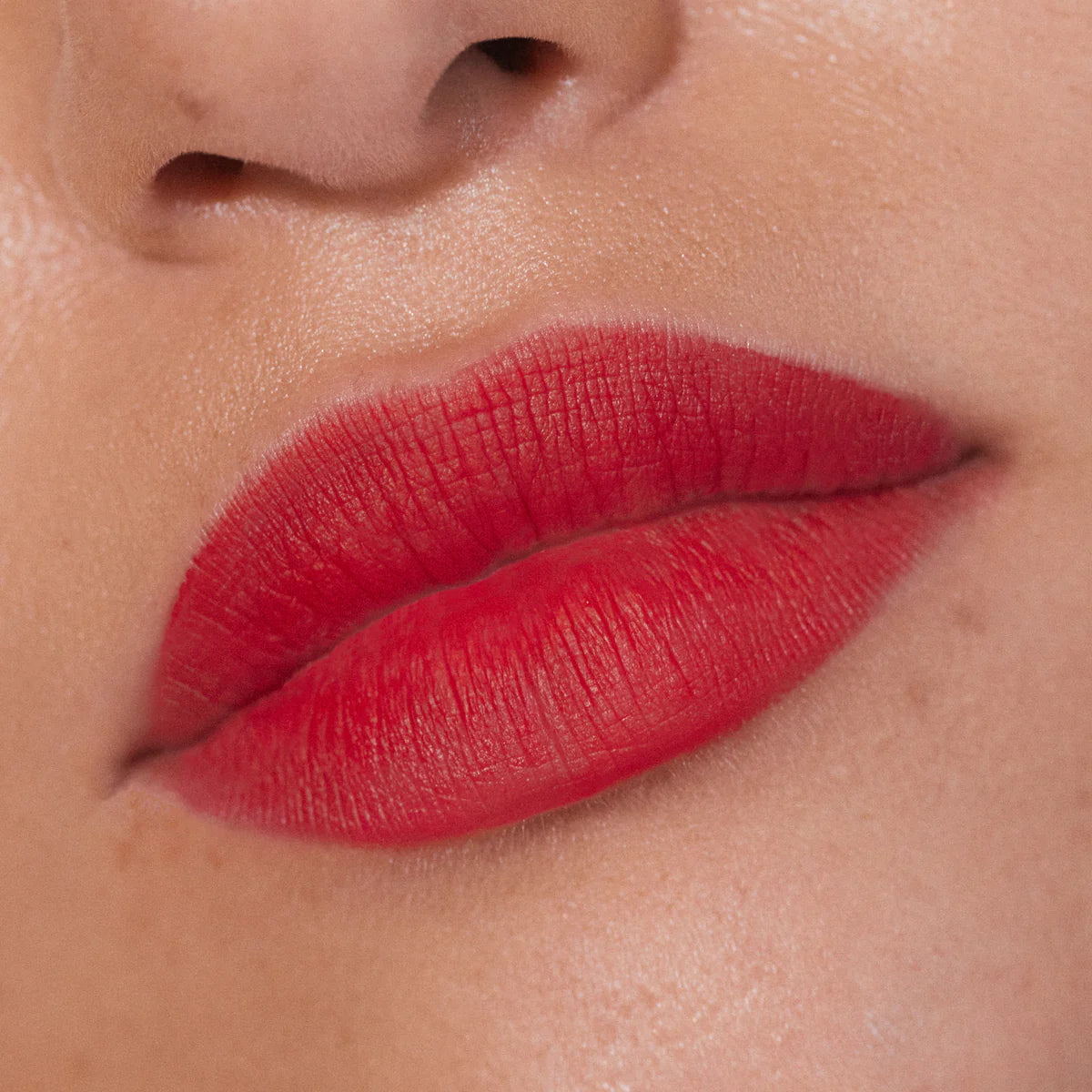TAKING SHAPE LIP LINER